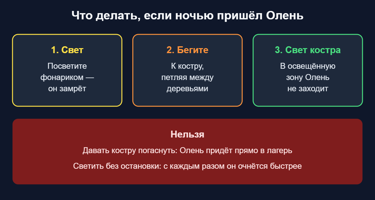 Схема: что делать, если ночью пришёл Олень в 99 ночей в лесу