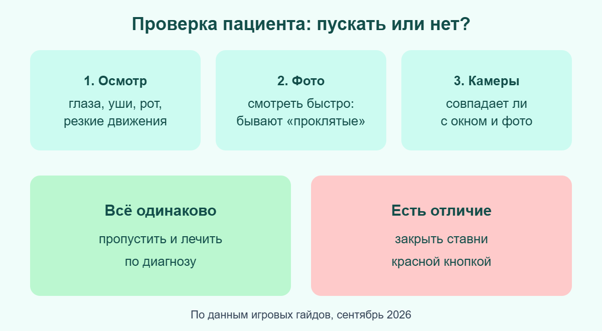 Схема проверки пациента в Больнице для животных: осмотр, фото, камеры